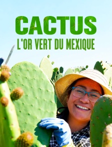 Cactus, l'or vert du Mexique