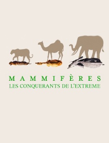 Mammifères, les conquérants de l'extrême
