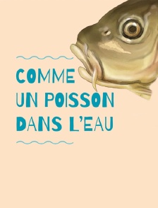 Comme un poisson dans l'eau
