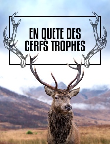 En Quête des Cerfs Trophées