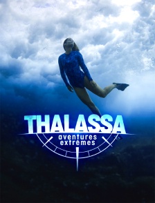 Thalassa, aventures extrêmes