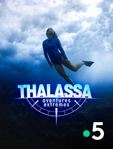 France 5 - Thalassa, aventures extrêmes