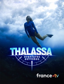 france.tv - Thalassa, aventures extrêmes