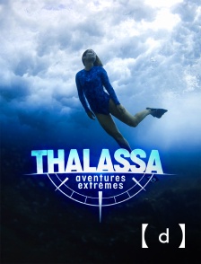 France TV Docs - Thalassa, aventures extrêmes