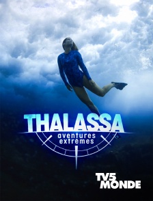 TV5MONDE - Thalassa, aventures extrêmes