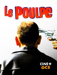 CINÉ Cinéma - Le poulpe