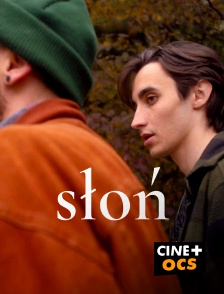 CINÉ Cinéma - Slon