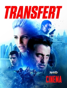 Molotov Channels Cinéma - Transfert