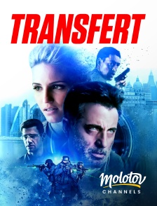 Molotov channels - Transfert