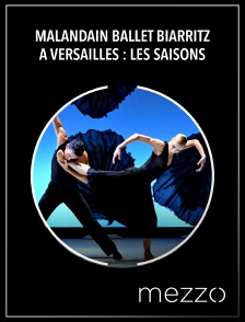 Mezzo - Malandain Ballet Biarritz à Versailles : Les Saisons