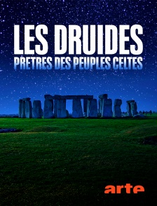 Arte - Les druides : prêtres des peuples celtes