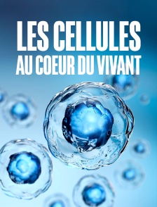 Les cellules, au coeur du vivant