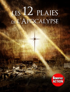 Box Office Action - Les 12 plaies de l'apocalypse