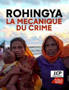 LCP Public Sénat - Rohingya, la mécanique du crime