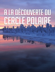 A la découverte du cercle polaire