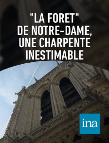 INA - La charpente de Notre Dame