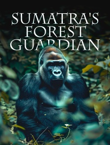 Sumatra's Forest Guardian