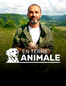 En terre animale