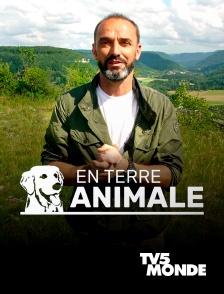 TV5MONDE - En terre animale en replay