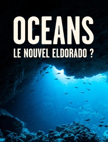 Océans : le nouvel Eldorado ?