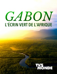 TV5MONDE - Gabon, l'écrin vert de l'Afrique