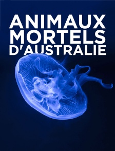 Animaux mortels d'Australie