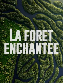 La forêt enchantée