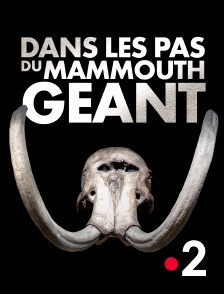 France 2 - Dans les pas du mammouth géant