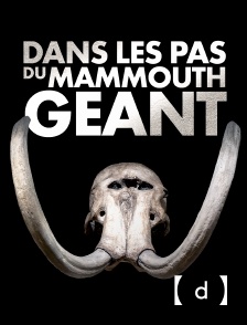 France TV Docs - Dans les pas du mammouth géant