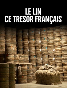 Le lin, ce trésor français