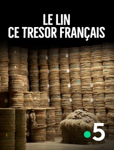 France 5 - Le lin, ce trésor français