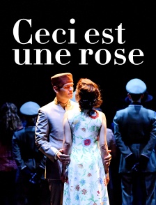 Ceci est une rose