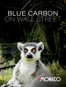 TV Monaco - Blue Carbon on Wall Street