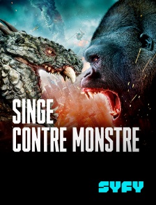 Singe contre monstre