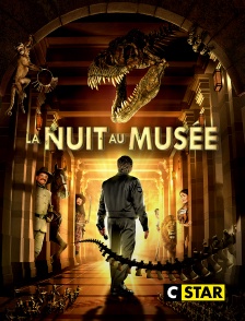 CSTAR - La nuit au musée