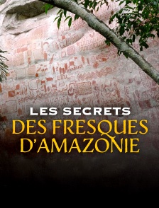 Les secrets des fresques d'Amazonie