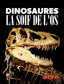 Dinosaures, la soif de l'os