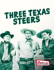 Three Texas Steers