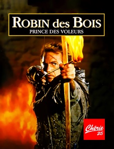 Robin des Bois, prince des voleurs