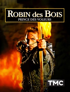 TMC - Robin des Bois, prince des voleurs