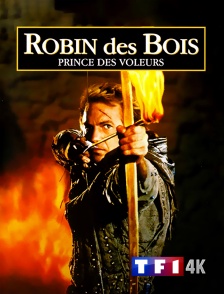 TF1 4K - Robin des Bois, prince des voleurs