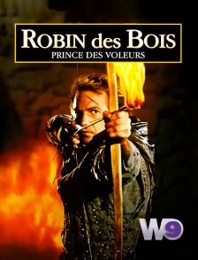 W9 - Robin des Bois, prince des voleurs