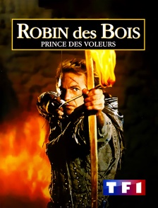 TF1 - Robin des Bois, prince des voleurs