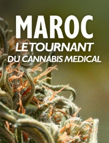 Maroc, le tournant du cannabis médical