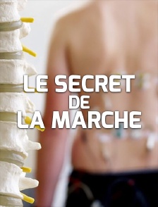 Le secret de la marche