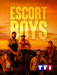 TF1 - Escort Boys