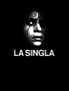 La Singla : Prodige du flamenco