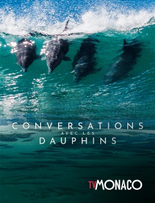 TV Monaco - Conversations avec les dauphins