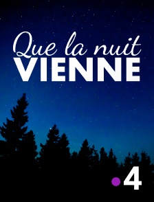 France 4 - Que la nuit vienne