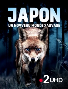 France 2 UHD - Japon, un nouveau monde sauvage